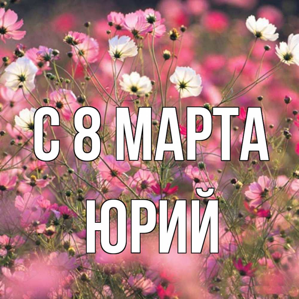 Открытка на каждый день с именем, Юрий С 8 МАРТА красиво 1 Прикольная открытка с пожеланием онлайн скачать бесплатно 