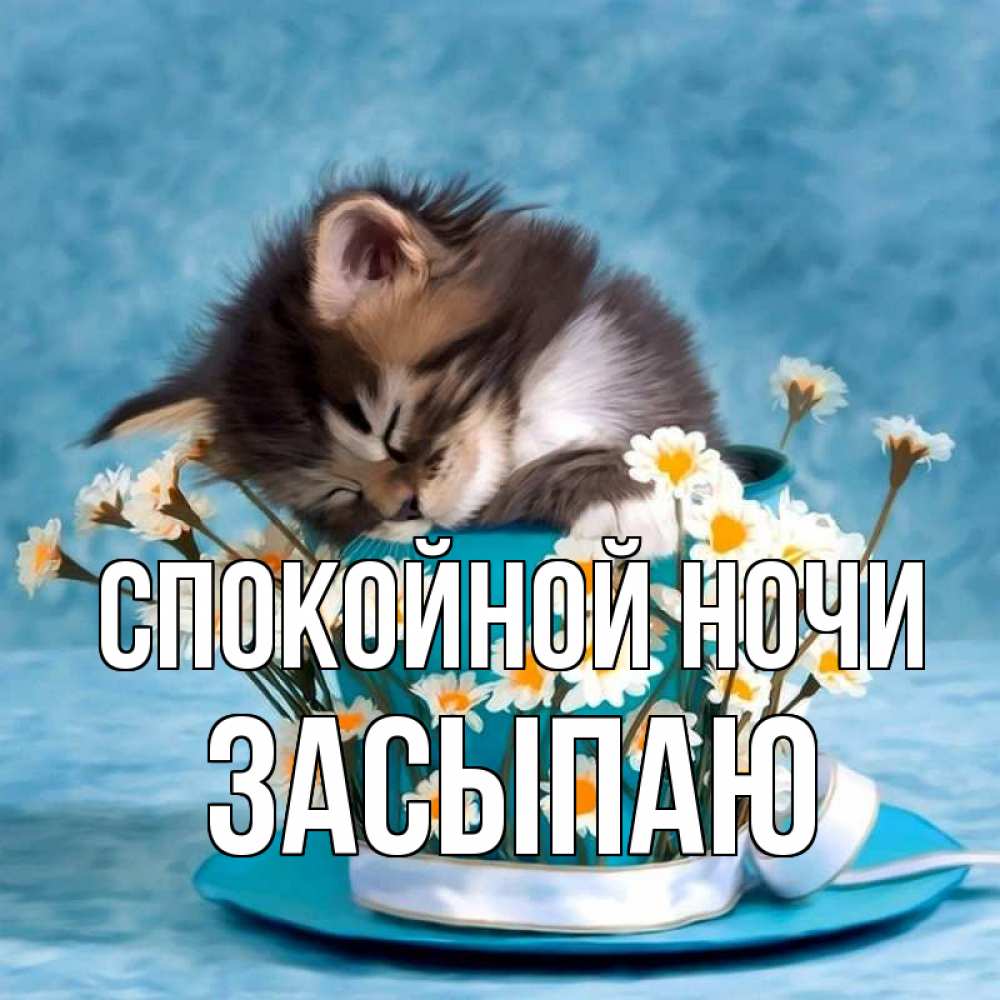 Открытка на каждый день с именем, Засыпаю Спокойной ночи котенок спит в кружке с блюдцем Прикольная открытка с пожеланием онлайн скачать бесплатно 