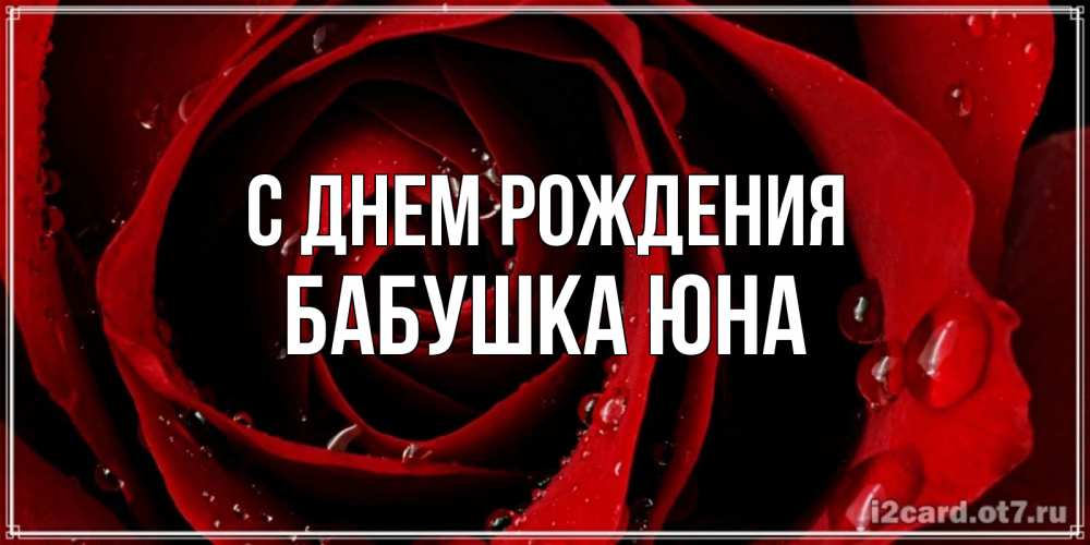 Открытка на каждый день с именем, Бабушка-Юна С днем рождения крупная бордовая роза Прикольная открытка с пожеланием онлайн скачать бесплатно 