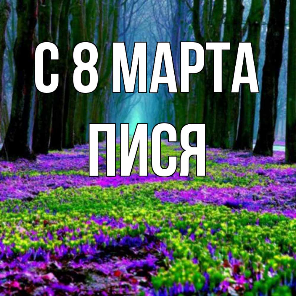 Картинка С 8 МАРТА, Пися