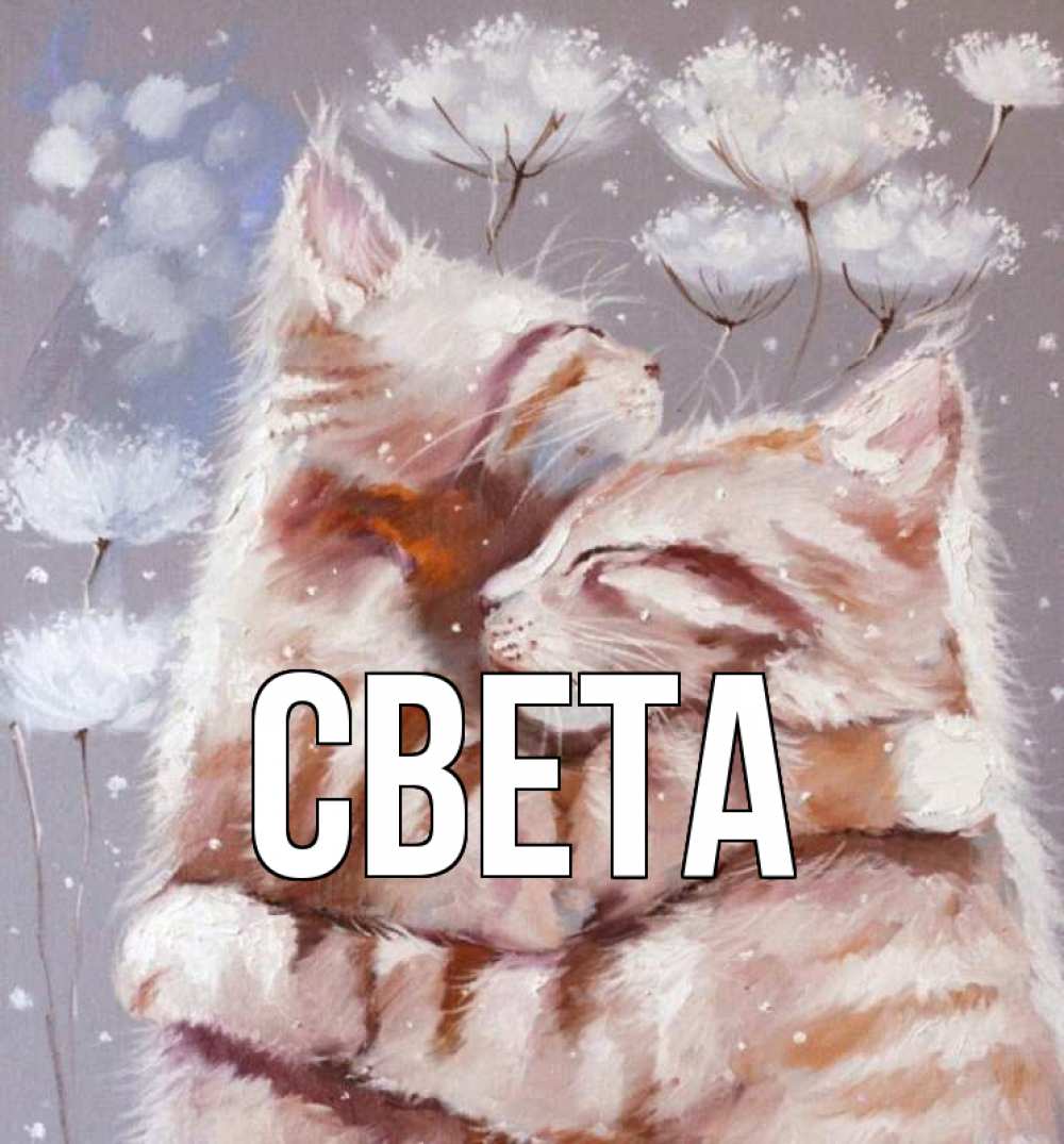 Свету жду