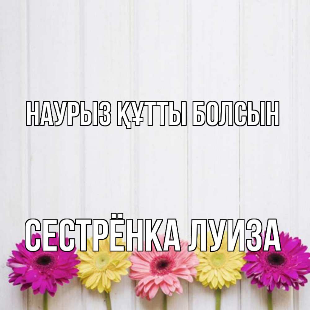 Открытка на каждый день с именем, Сестрёнка-Луиза Наурыз құтты болсын женщинам 1 Прикольная открытка с пожеланием онлайн скачать бесплатно 
