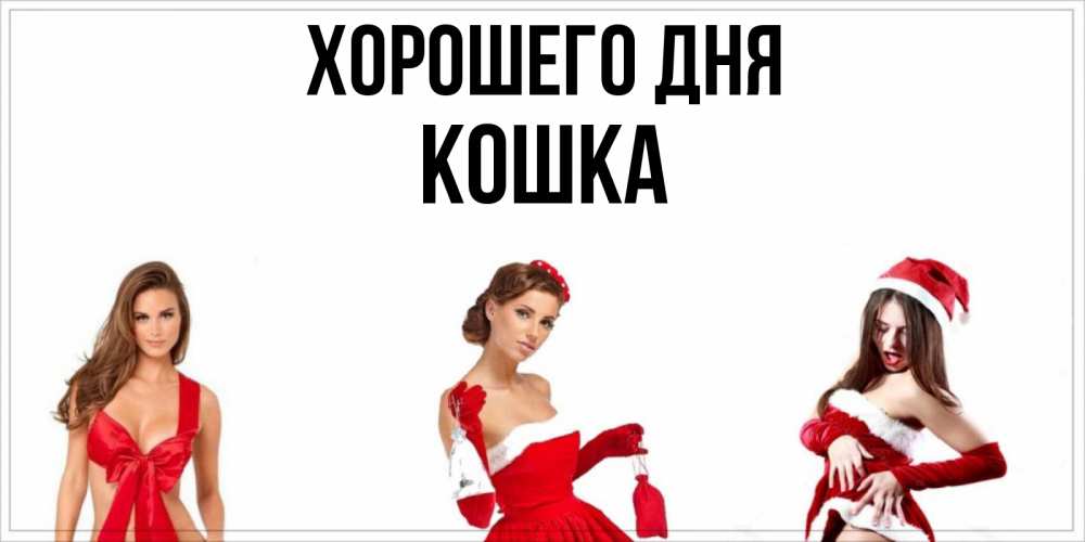 Картинка Хорошего дня, кошка