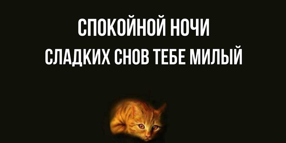 Картинка Спокойной ночи,  сладких снов тебе милый