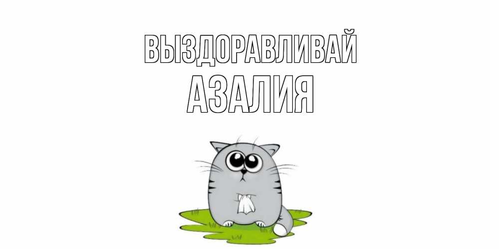 Открытка на каждый день с именем, Азалия Выздоравливай кот и открытки про выздоровление Прикольная открытка с пожеланием онлайн скачать бесплатно 