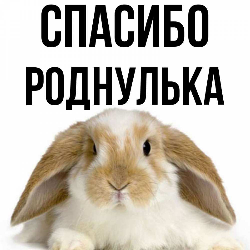 Роднулька. Спасибо роднулька. Спасибо моя роднулька. Открытка роднулька. Спасибо роднулька картинки.