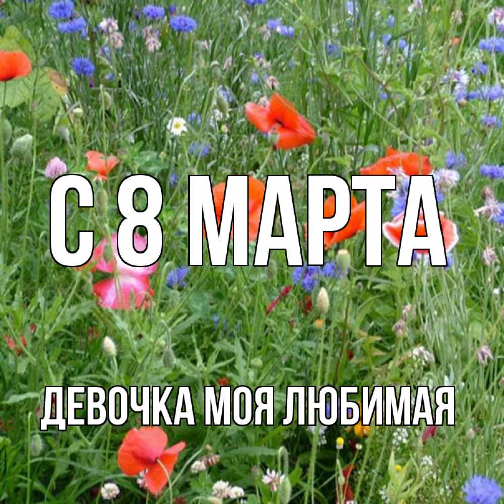 Открытка на каждый день с именем, Девочка-моя-любимая С 8 МАРТА международный женский день 4 Прикольная открытка с пожеланием онлайн скачать бесплатно 