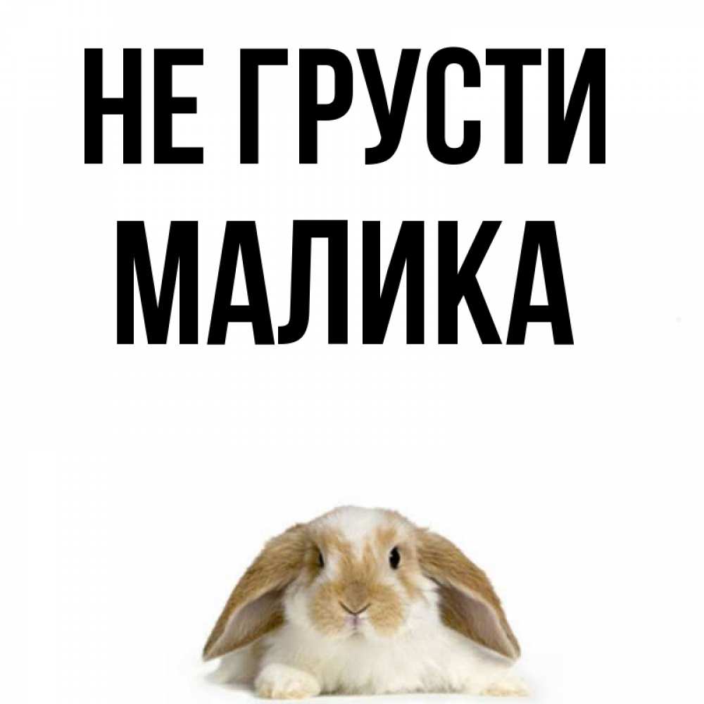 Поздравления, картинки мишки с надписью не грусти