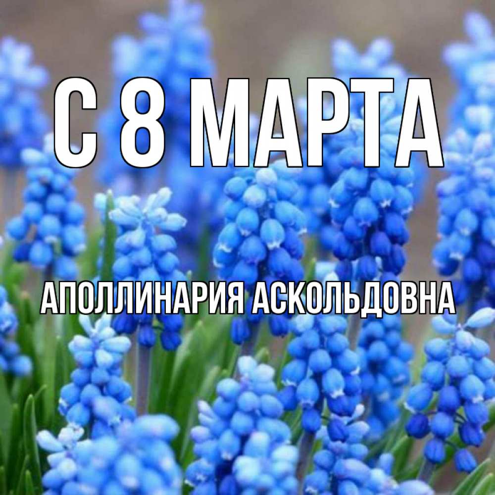Картинка С 8 МАРТА, Аполлинария Аскольдовна