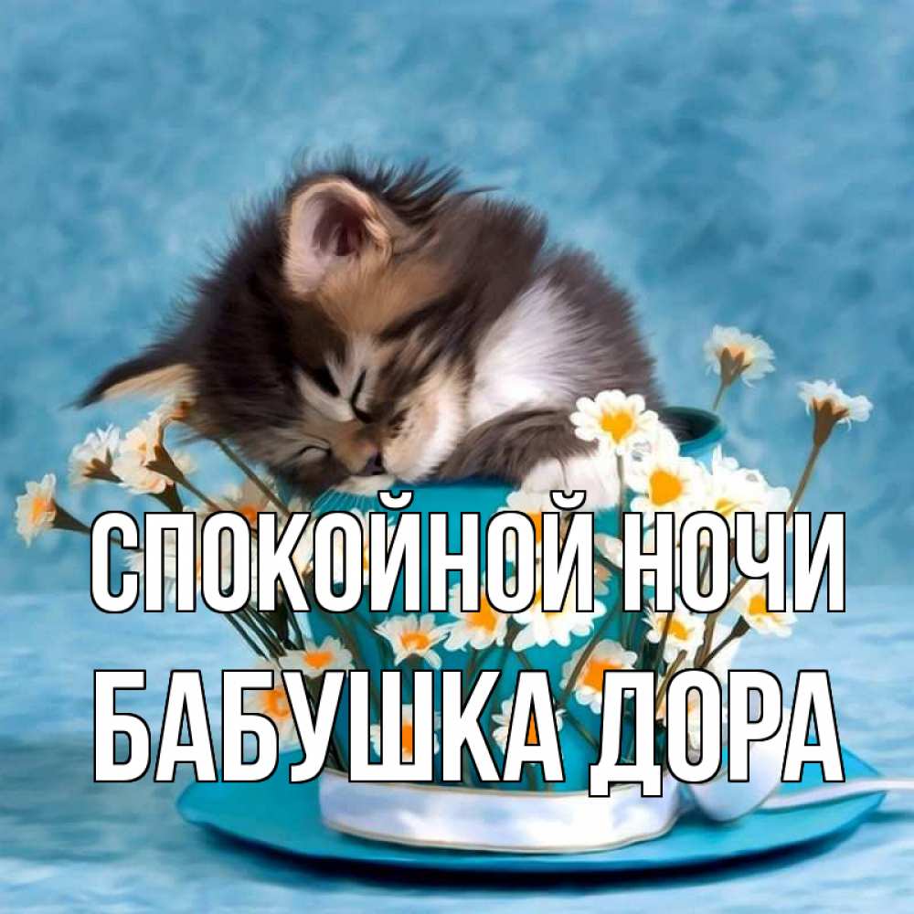 Открытка на каждый день с именем, Бабушка-Дора Спокойной ночи котенок спит в кружке с блюдцем Прикольная открытка с пожеланием онлайн скачать бесплатно 