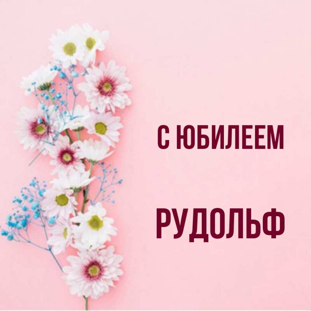 Открытка на каждый день с именем, Рудольф С юбилеем Родная моя с днем рождения тебя картинка с цветами белыми и голубыми Прикольная открытка с пожеланием онлайн скачать бесплатно 