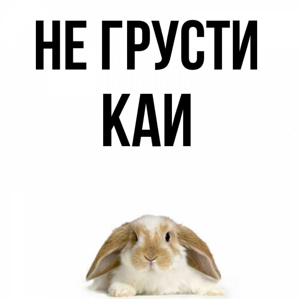 Не грусти амиго. Не грусти. Не грусти зая. Катя не грусти. Заяц не грусти.
