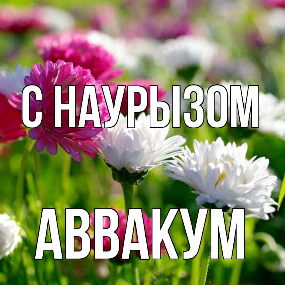 Открытка на каждый день с именем, Аввакум С наурызом праздник весны наурыз красота Прикольная открытка с пожеланием онлайн скачать бесплатно 