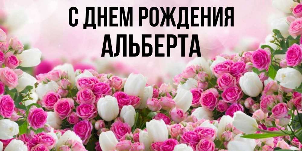 Открытка на каждый день с именем, Альберта С днем рождения открытка с разными розами Прикольная открытка с пожеланием онлайн скачать бесплатно 