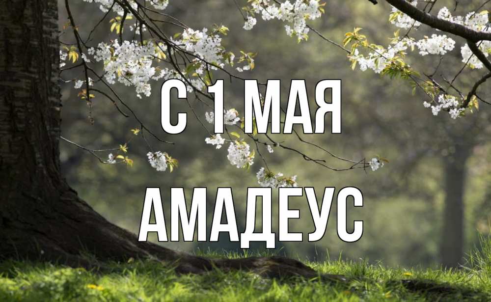 Открытка на каждый день с именем, Амадеус С 1 мая С 1 мая Прикольная открытка с пожеланием онлайн скачать бесплатно 