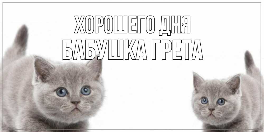 Открытка на каждый день с именем, Бабушка-Грета Хорошего дня открытка с котами Прикольная открытка с пожеланием онлайн скачать бесплатно 