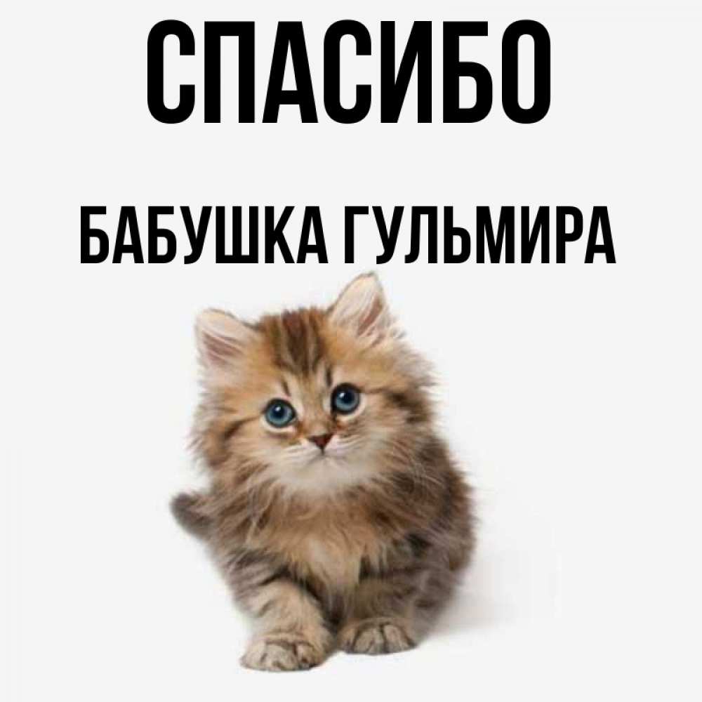 Открытка на каждый день с именем, Бабушка-Гульмира Спасибо пушистый котик Прикольная открытка с пожеланием онлайн скачать бесплатно 