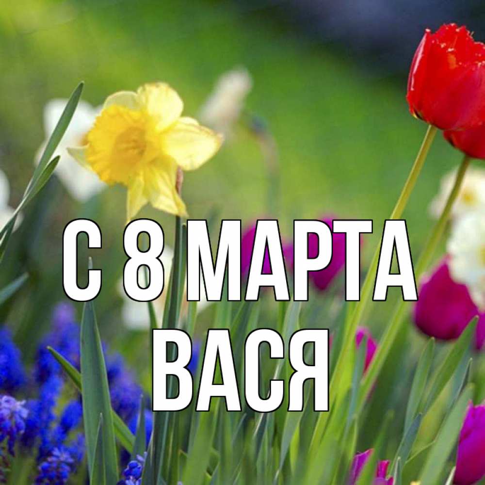Открытка на каждый день с именем, Вася С 8 МАРТА международный женский день 3 Прикольная открытка с пожеланием онлайн скачать бесплатно 