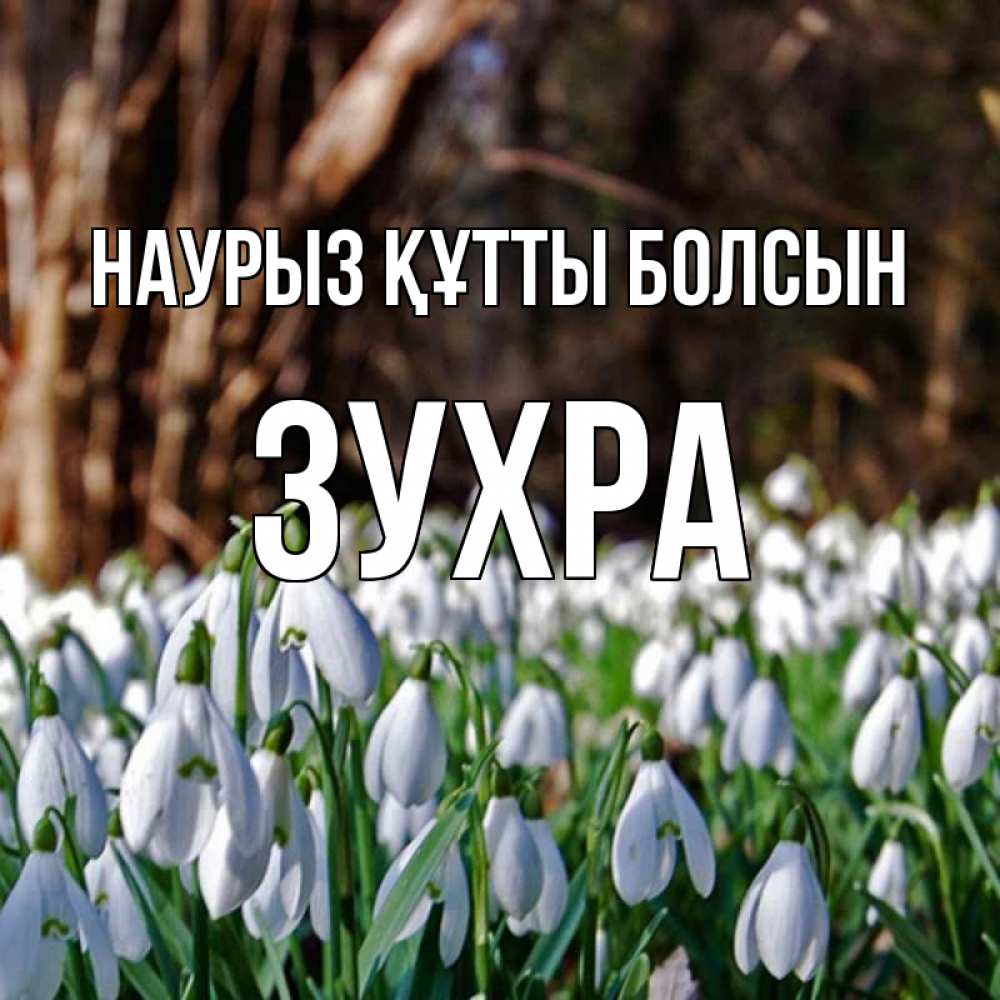 Открытка на каждый день с именем, Зухра Наурыз құтты болсын с подснежниками 1 Прикольная открытка с пожеланием онлайн скачать бесплатно 