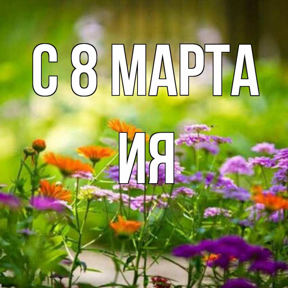Открытка на каждый день с именем, Ия С 8 МАРТА цветы Прикольная открытка с пожеланием онлайн скачать бесплатно 