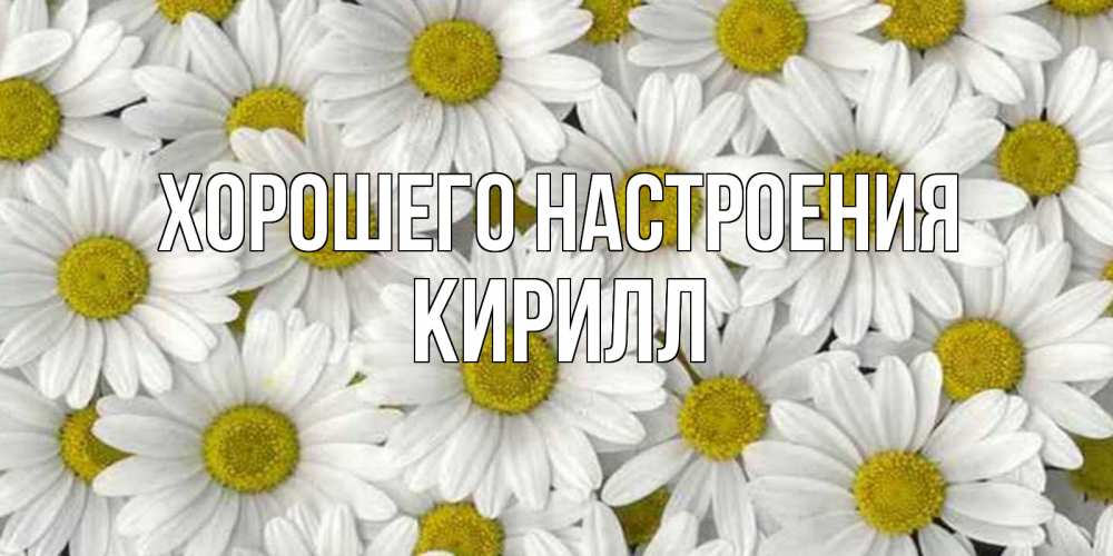 Открытка на каждый день с именем, Кирилл Хорошего настроения поляна ромашек Прикольная открытка с пожеланием онлайн скачать бесплатно 