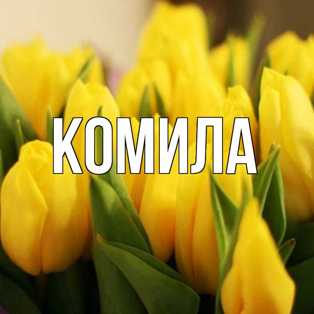 Открытка на каждый день с именем, Комила Главная цветы Прикольная открытка с пожеланием онлайн скачать бесплатно 