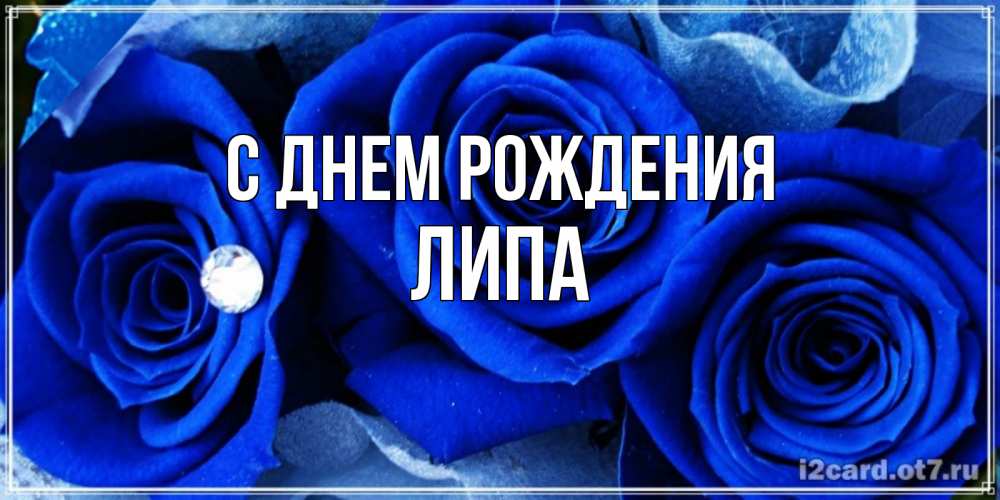 Открытка на каждый день с именем, ЛИПА С днем рождения синие розы в росе Прикольная открытка с пожеланием онлайн скачать бесплатно 