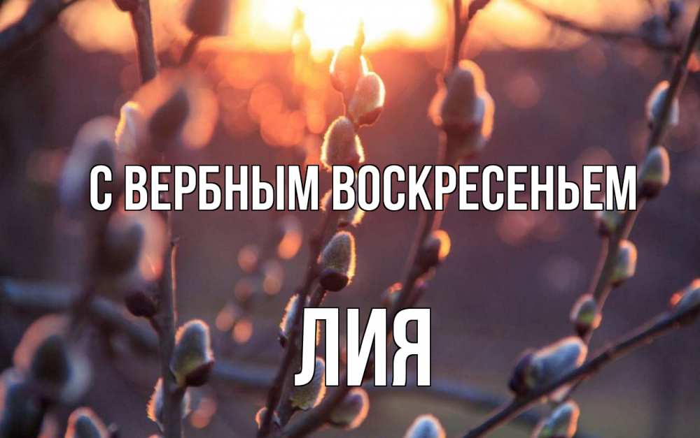 Открытка на каждый день с именем, Лия С вербным воскресеньем верба Прикольная открытка с пожеланием онлайн скачать бесплатно 