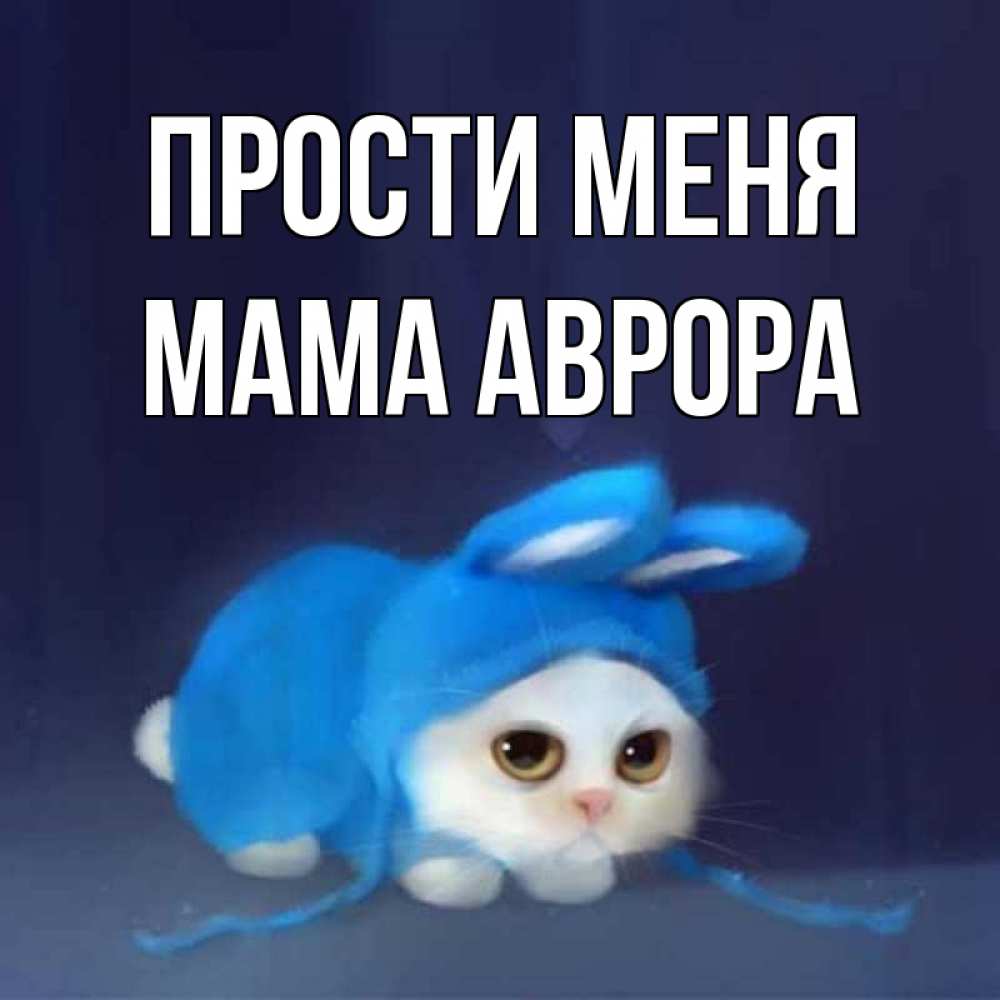 Открытка на каждый день с именем, Мама-Аврора Прости меня невинный котозай просит прощения Прикольная открытка с пожеланием онлайн скачать бесплатно 