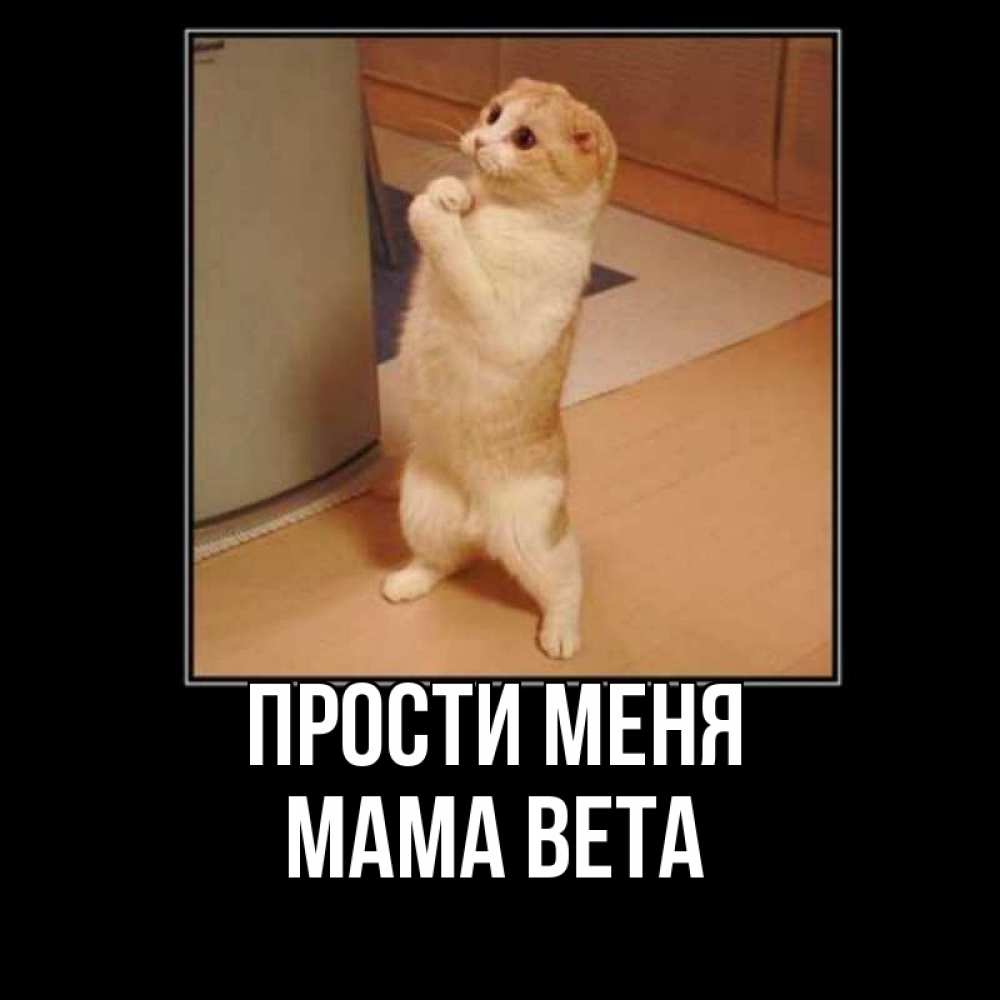 Открытка на каждый день с именем, Мама-Вета Прости меня открытка с милым несчастным котиком просящим прощения Прикольная открытка с пожеланием онлайн скачать бесплатно 