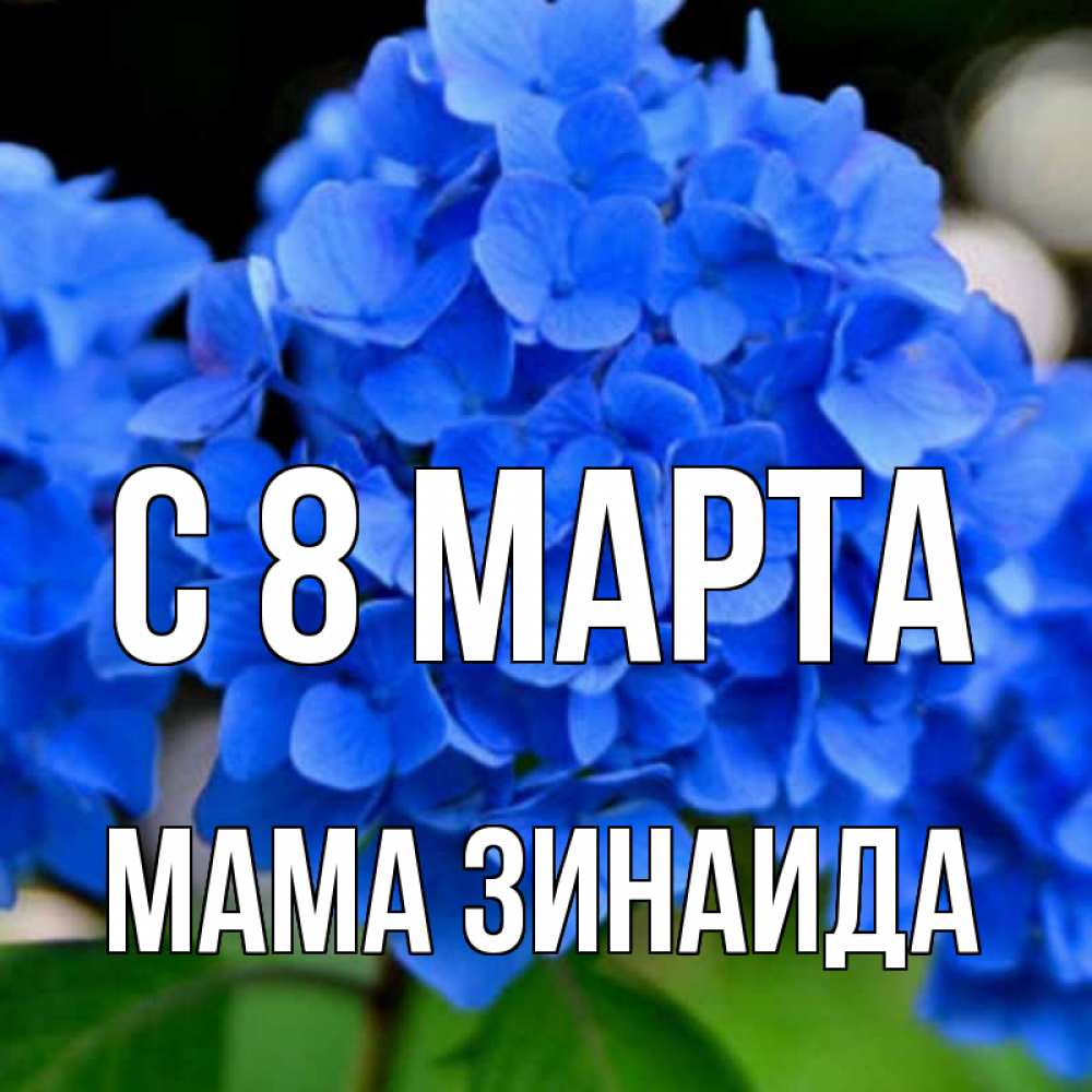 Открытка на каждый день с именем, Мама-Зинаида С 8 МАРТА синие цветы Прикольная открытка с пожеланием онлайн скачать бесплатно 