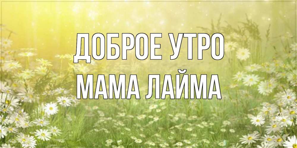 Открытка на каждый день с именем, Мама-Лайма Доброе утро доброе утро Прикольная открытка с пожеланием онлайн скачать бесплатно 