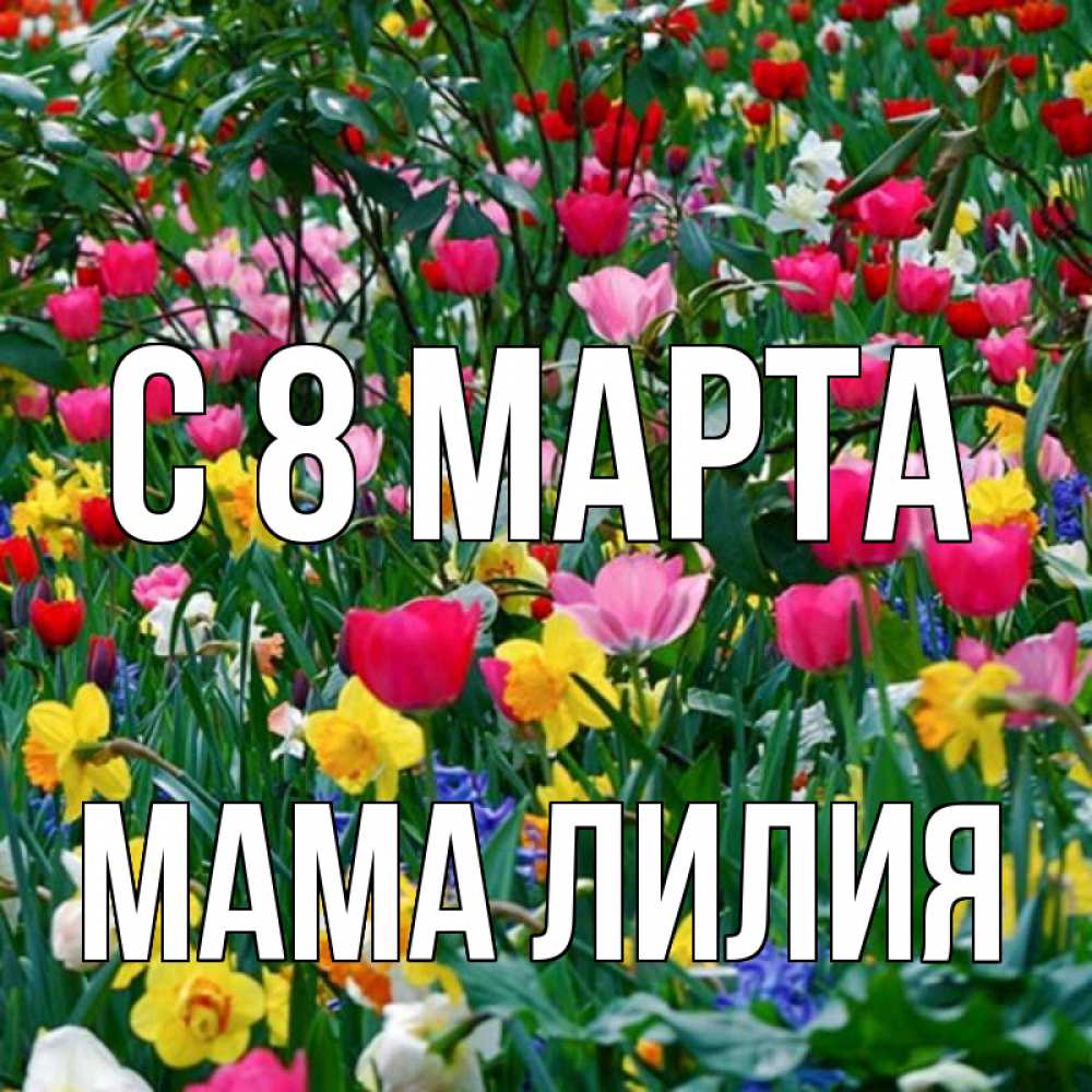 Открытка на каждый день с именем, Мама-Лилия С 8 МАРТА с международным женским днем поздравления для женщины Прикольная открытка с пожеланием онлайн скачать бесплатно 