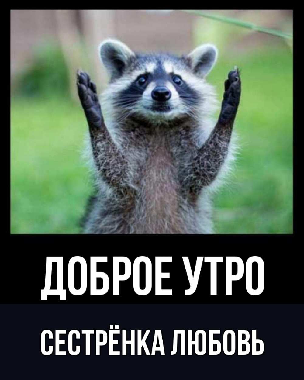 Открытка на каждый день с именем, Сестрёнка-Любовь Доброе утро хорошее настроение утречком Прикольная открытка с пожеланием онлайн скачать бесплатно 