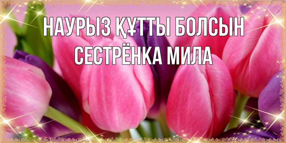 Открытка на каждый день с именем, Сестрёнка-Мила Наурыз құтты болсын тюльпаны для женщины на международный женский день Прикольная открытка с пожеланием онлайн скачать бесплатно 