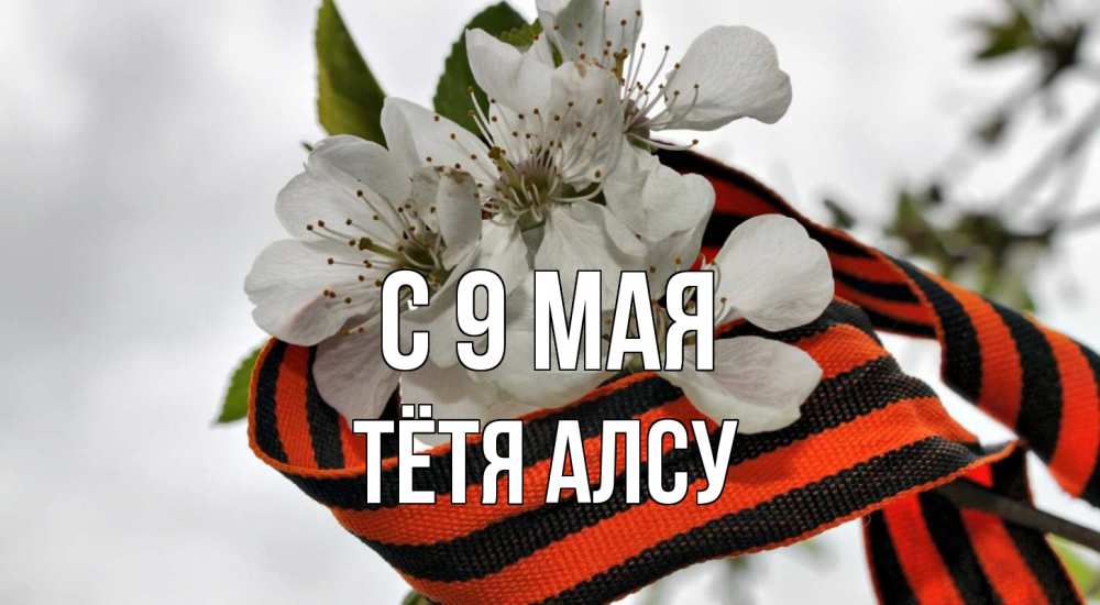 Открытка на каждый день с именем, Тётя-Алсу С 9 мая 9 мая Прикольная открытка с пожеланием онлайн скачать бесплатно 