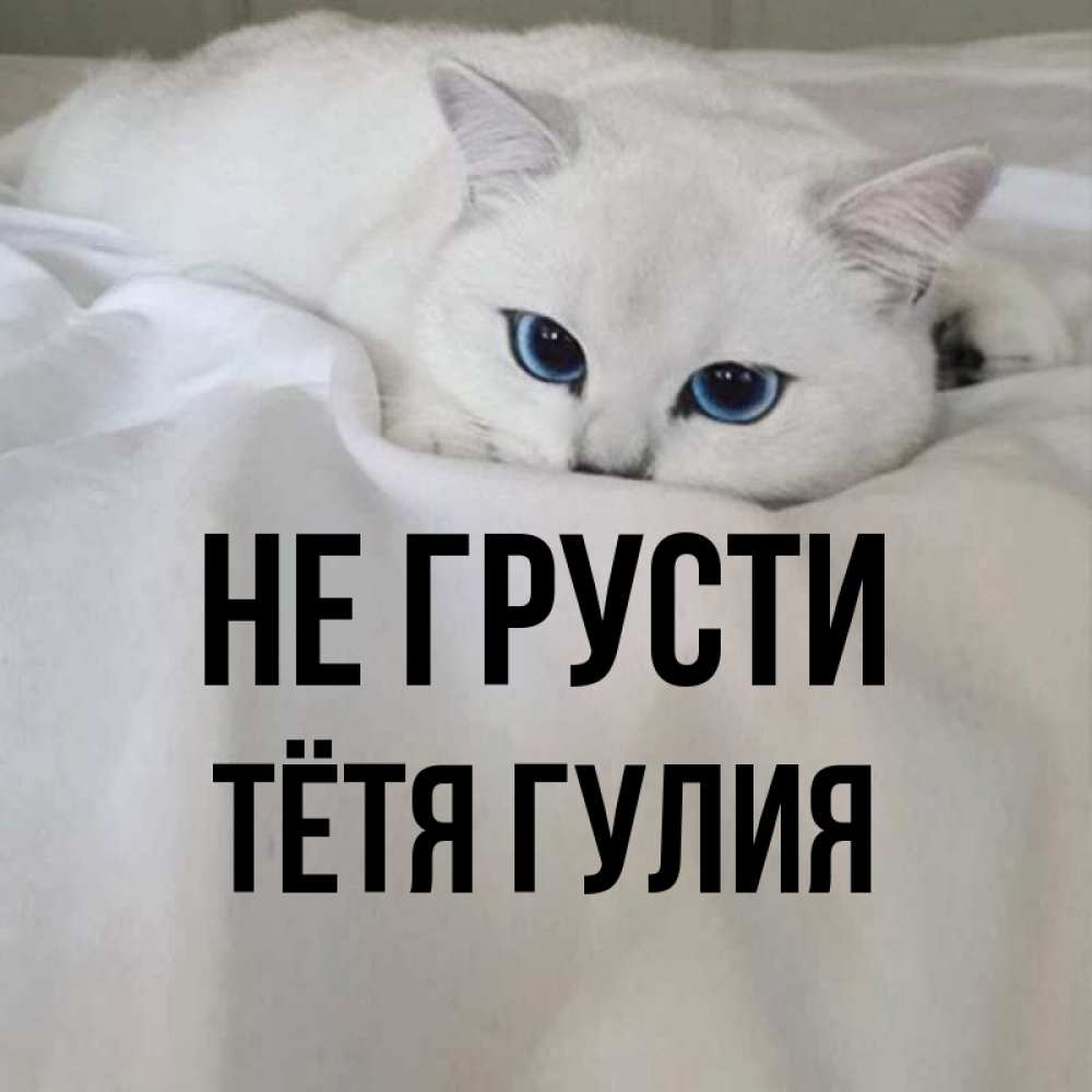 Открытка на каждый день с именем, Тётя-Гулия Не грусти Голубоглазая кошка Прикольная открытка с пожеланием онлайн скачать бесплатно 