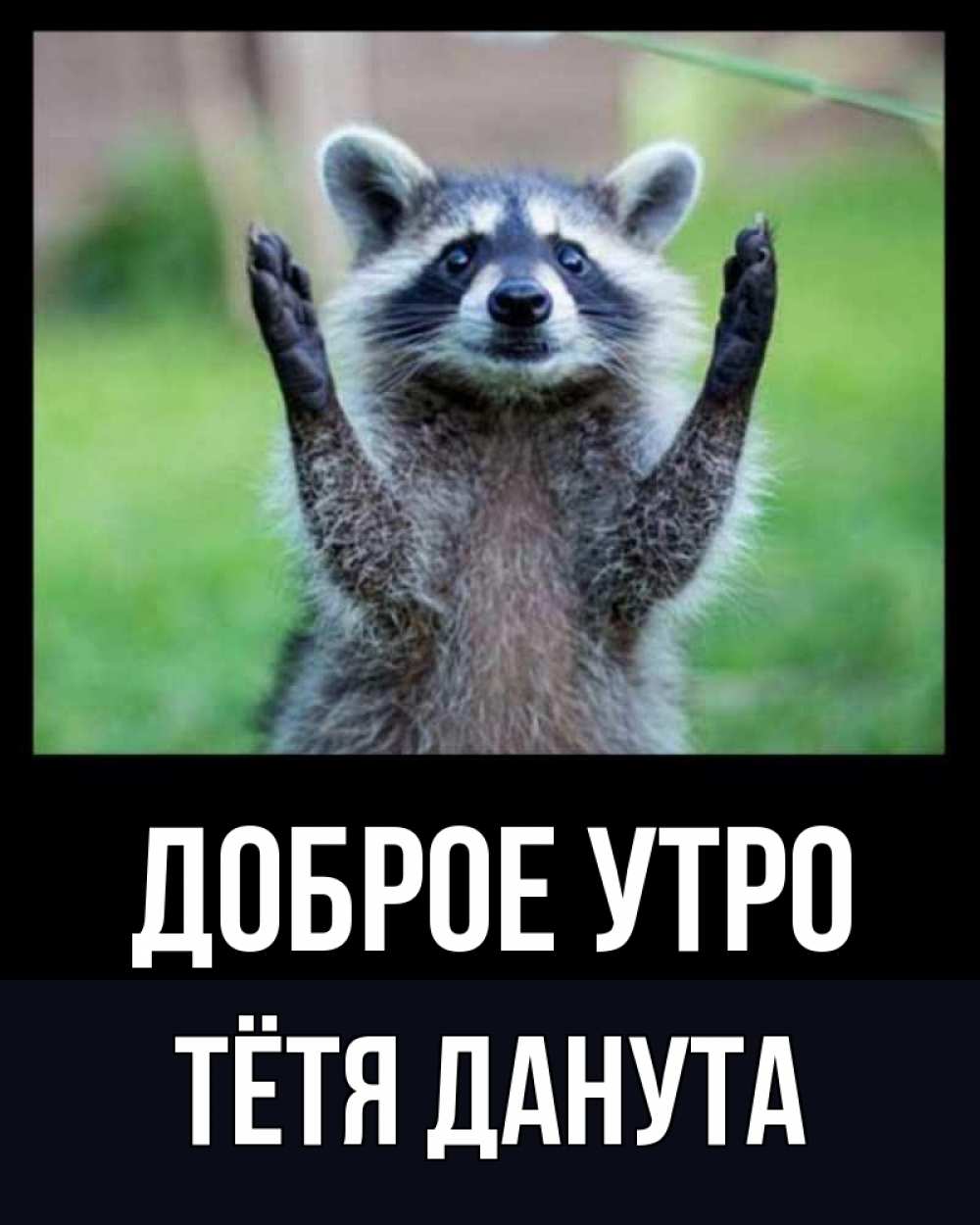 Открытка на каждый день с именем, Тётя-Данута Доброе утро хорошее настроение утречком Прикольная открытка с пожеланием онлайн скачать бесплатно 