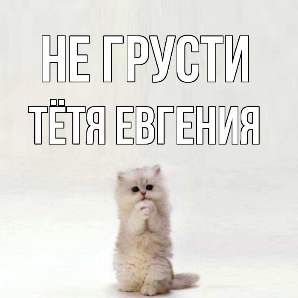 Открытка на каждый день с именем, Тётя-Евгения Не грусти грустный кот Прикольная открытка с пожеланием онлайн скачать бесплатно 