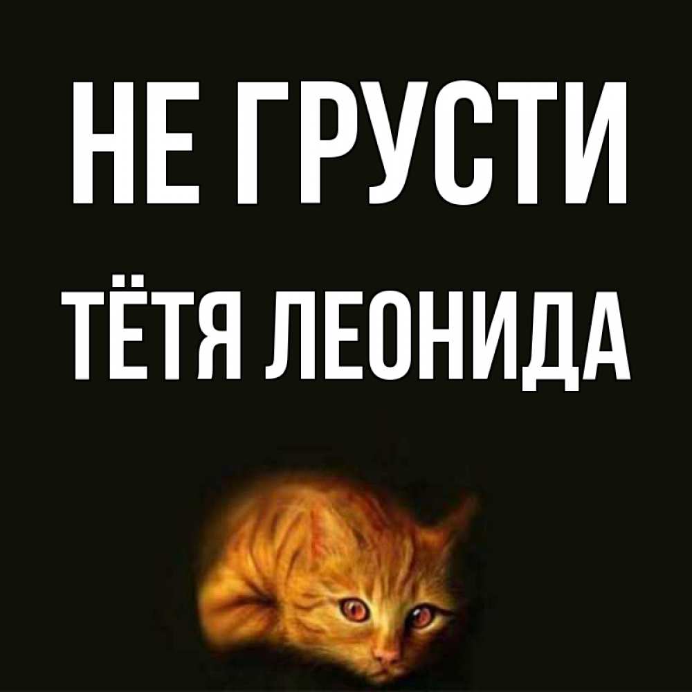 Открытка на каждый день с именем, Тётя-Леонида Не грусти лежащий кот в темноте Прикольная открытка с пожеланием онлайн скачать бесплатно 