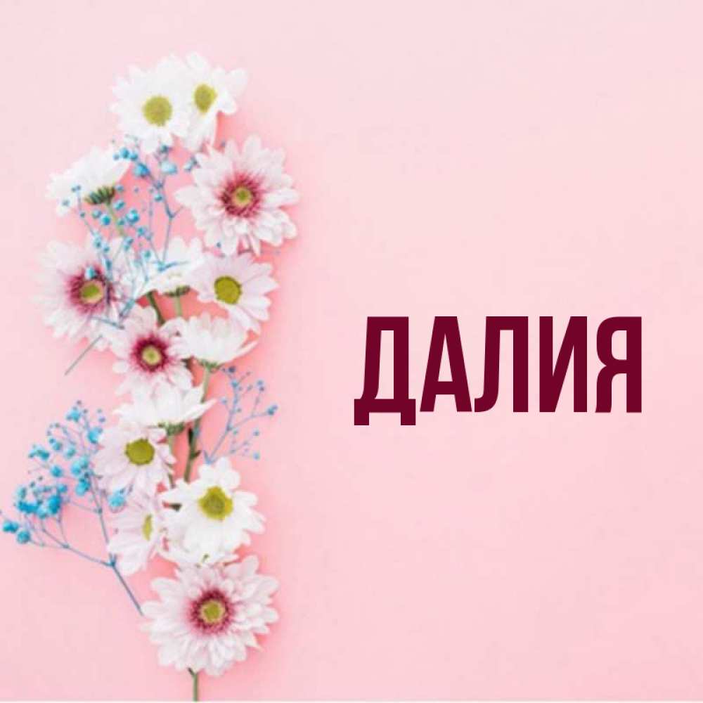 Картинка  с именем , Далия