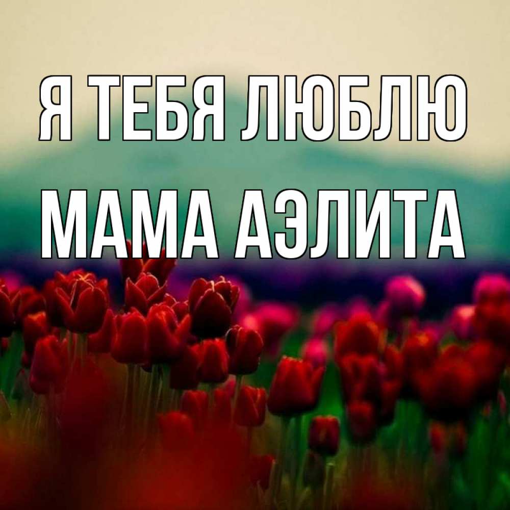 Открытка на каждый день с именем, Мама-Аэлита Я тебя люблю тюльпаны 4 Прикольная открытка с пожеланием онлайн скачать бесплатно 