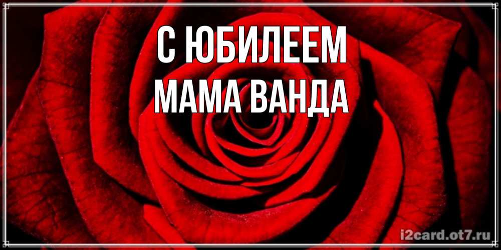 Открытка на каждый день с именем, Мама-Ванда С юбилеем алая роза Прикольная открытка с пожеланием онлайн скачать бесплатно 