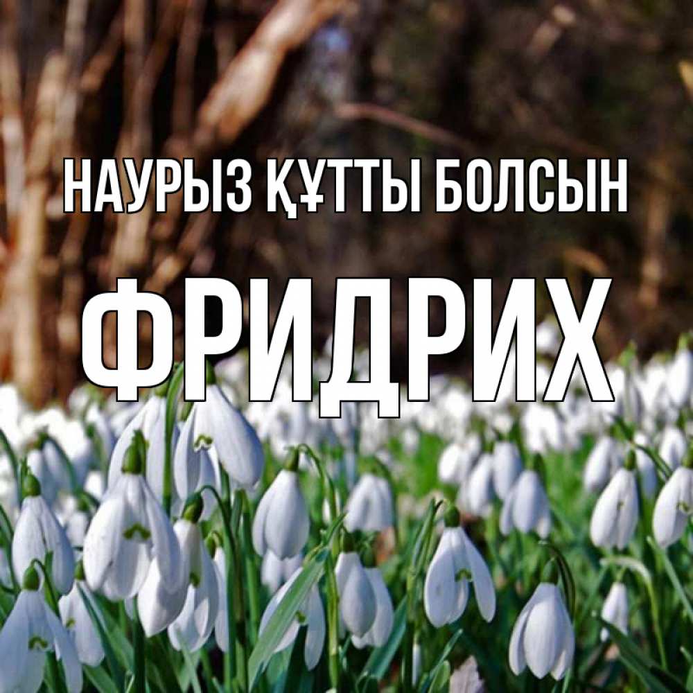 Открытка на каждый день с именем, Фридрих Наурыз құтты болсын с подснежниками 1 Прикольная открытка с пожеланием онлайн скачать бесплатно 