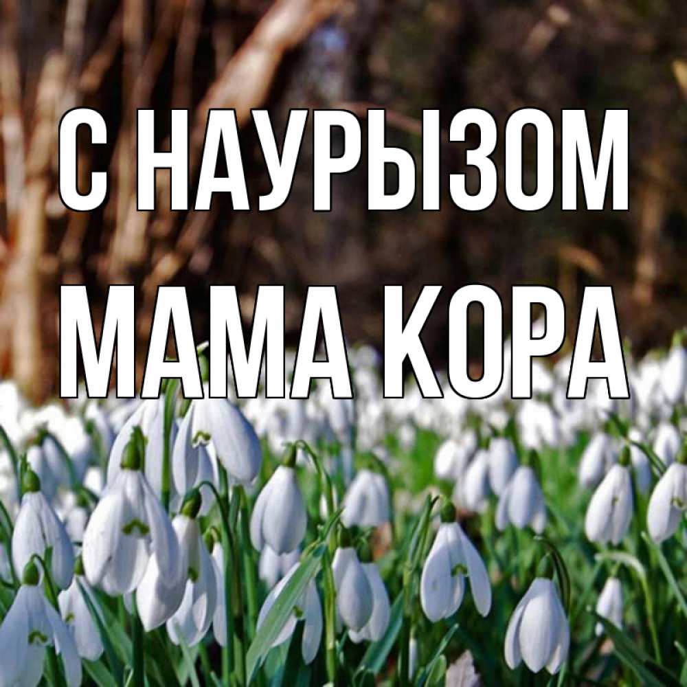 Открытка на каждый день с именем, Мама-Кора С наурызом с подснежниками 1 Прикольная открытка с пожеланием онлайн скачать бесплатно 