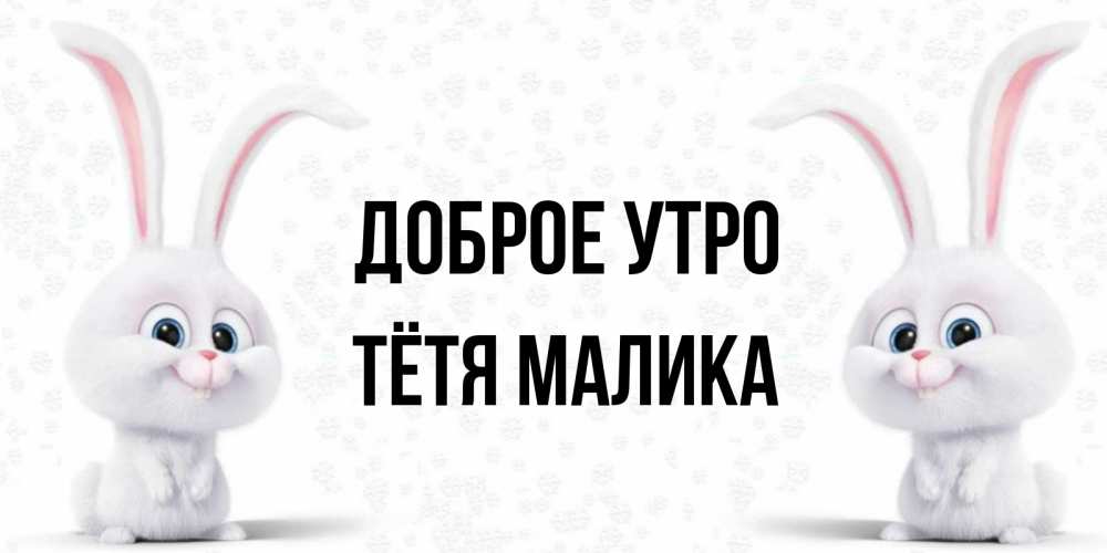 Открытка на каждый день с именем, Тётя-Малика Доброе утро кролики с длинными ушками Прикольная открытка с пожеланием онлайн скачать бесплатно 