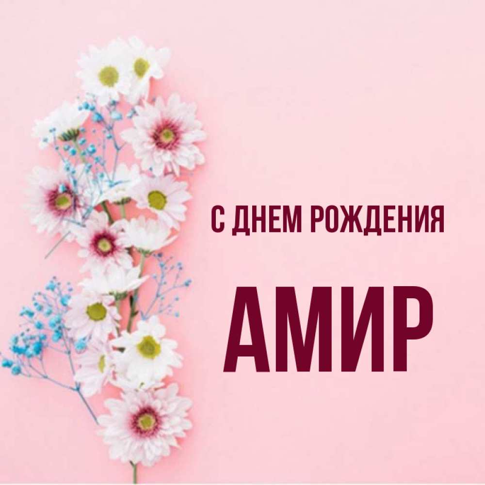 День рождения амир