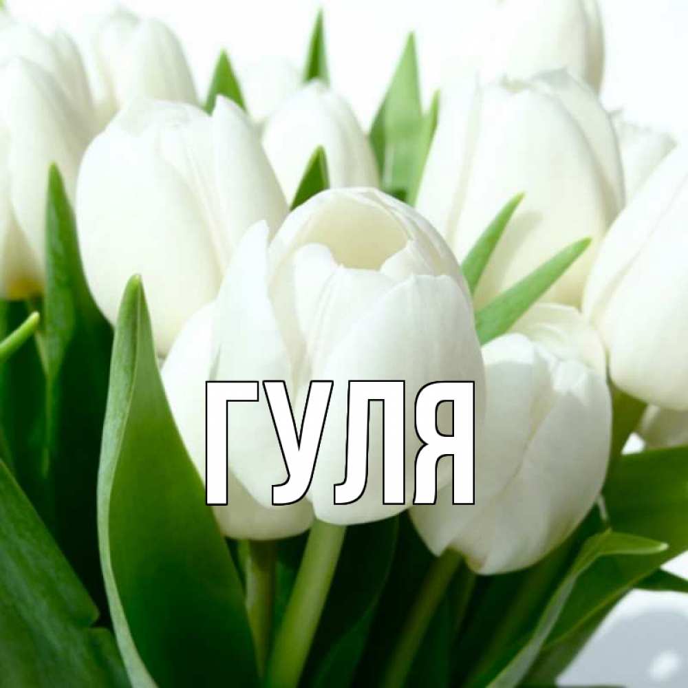 Открытки имена гуля