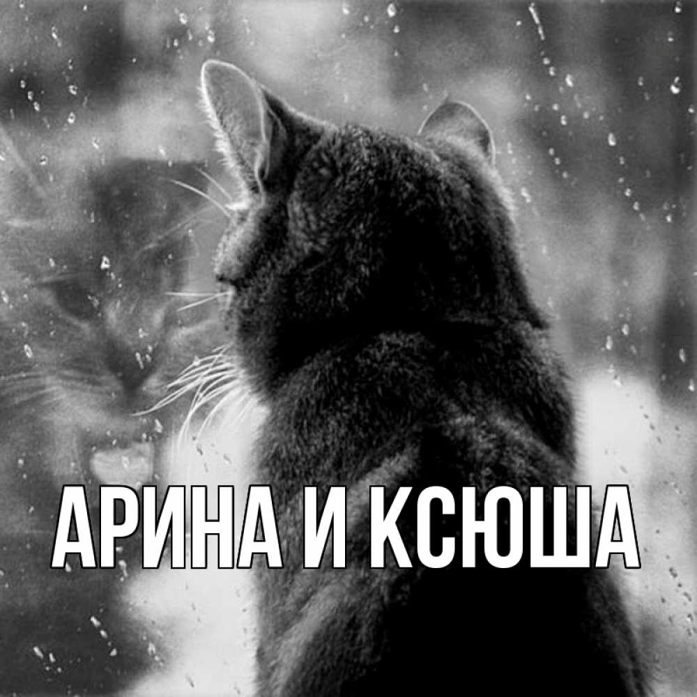 Картинка  с именем , Арина и Ксюша