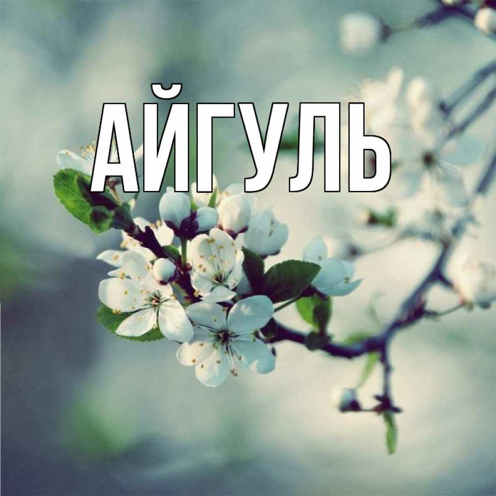 Открытка на каждый день с именем, Айгуль Главная яблоня в цвету 1 Прикольная открытка с пожеланием онлайн скачать бесплатно 